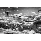 Balanced Bright Black and White Couch Dog