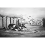 Bright Black and White Farmyard Dog